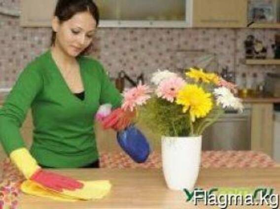 Приходящая помощница-домработница.