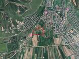 Продается 10 гектаров орошаемой земли в с. Кок-Жар | Собственник - фото 3