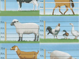 Продам Электропастух