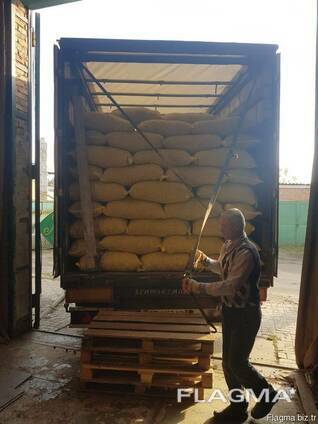 Продам грецкий орех оптом с Украины