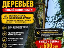 Профессиональное спиливание деревьев любой сложности!