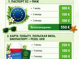Работа в Германии по іd ЕС - фото 1