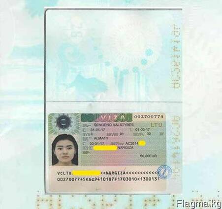 Шенген визы:бизнес, туризм, автоперевозки