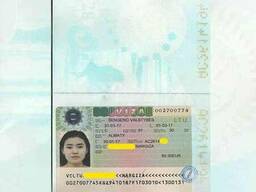 Шенген визы:бизнес, туризм, автоперевозки