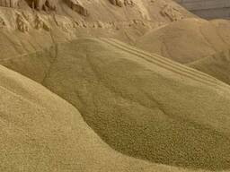 Шрот соевый подсолнечный Казахстан