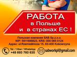Сотрудничество по трудоустройству работников в Польшу - фото 1
