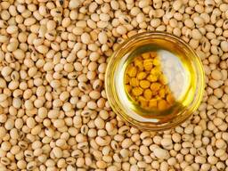 Soybean oil/Соя майы
