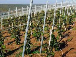 Столбы шпалерные