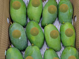 Свежее Манго из Вьетнама - фото 6