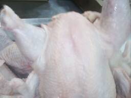 Тушка кур. Маточник. Халяль. Беларусь.