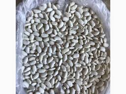 White and red Beans