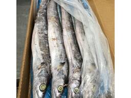 Whole Sale Good Quality Frozen Seafood Ribbon Fish