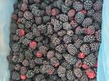Замороженная Ежевика - фото 1