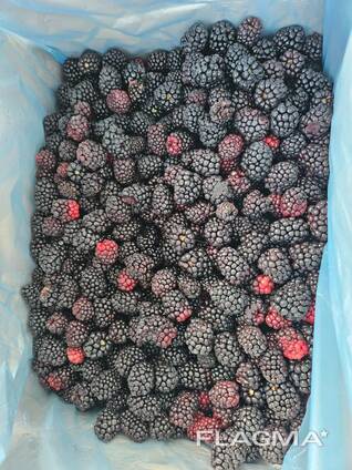 Замороженная Ежевика