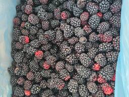 Замороженная Ежевика