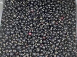 Замороженная смородина