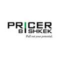 Pricer Bishkek, ООО